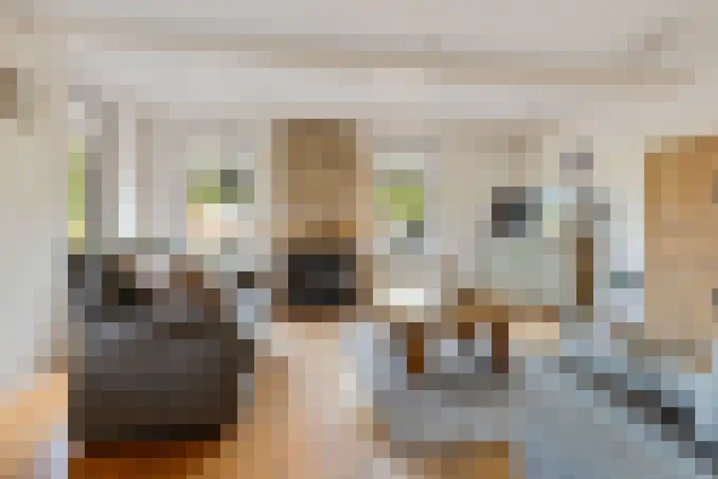 Schipsloot 27 Loppersum thumbnail 17
