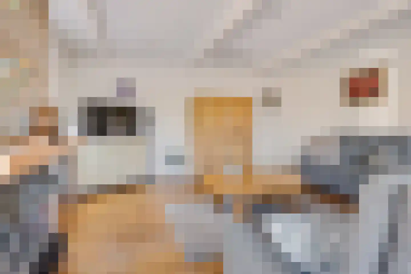 Schipsloot 27 Loppersum thumbnail 18