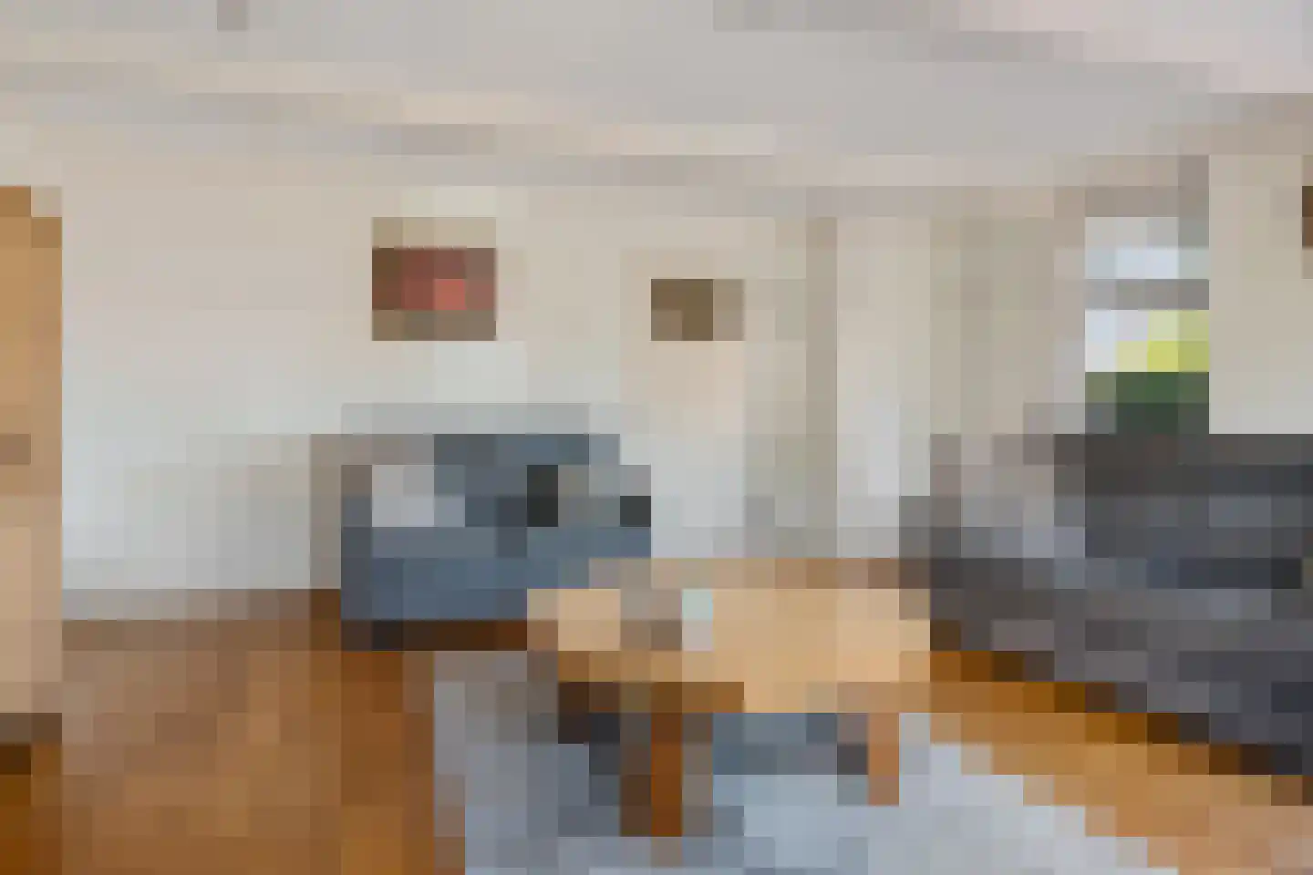 Schipsloot 27 Loppersum thumbnail 19