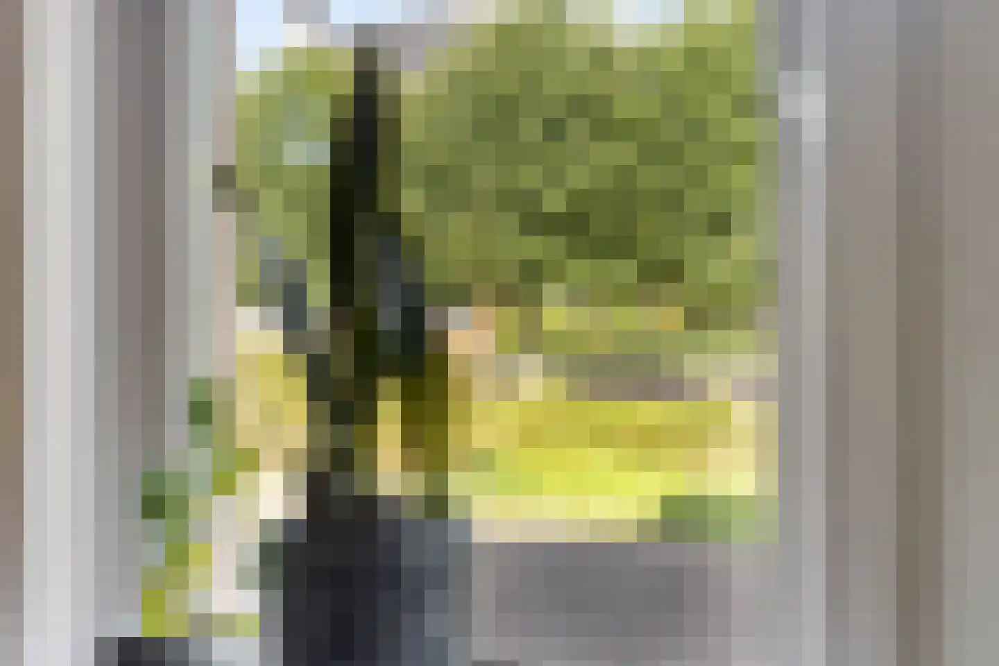 Schipsloot 27 Loppersum thumbnail 21