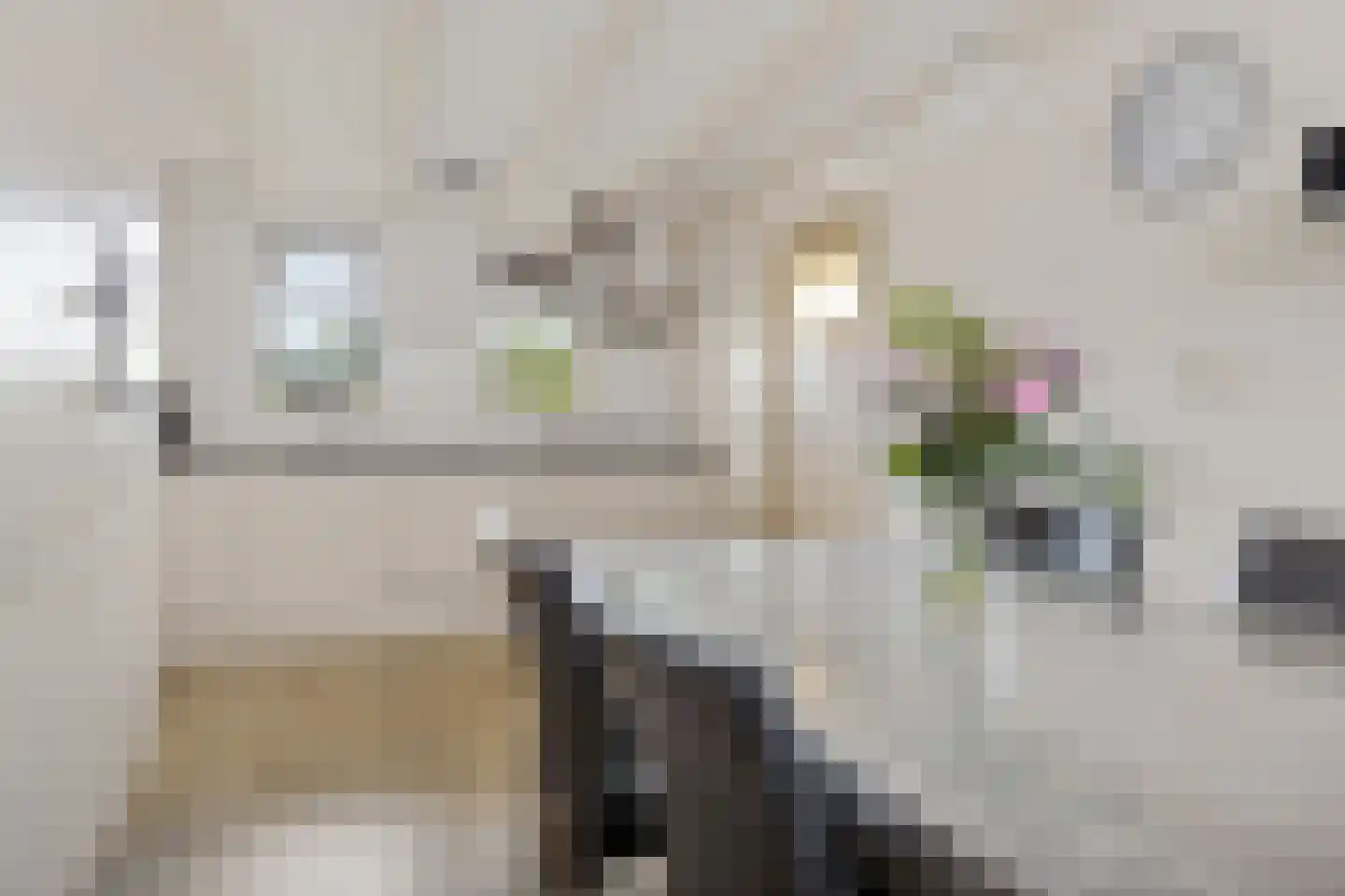 Schipsloot 27 Loppersum thumbnail 23