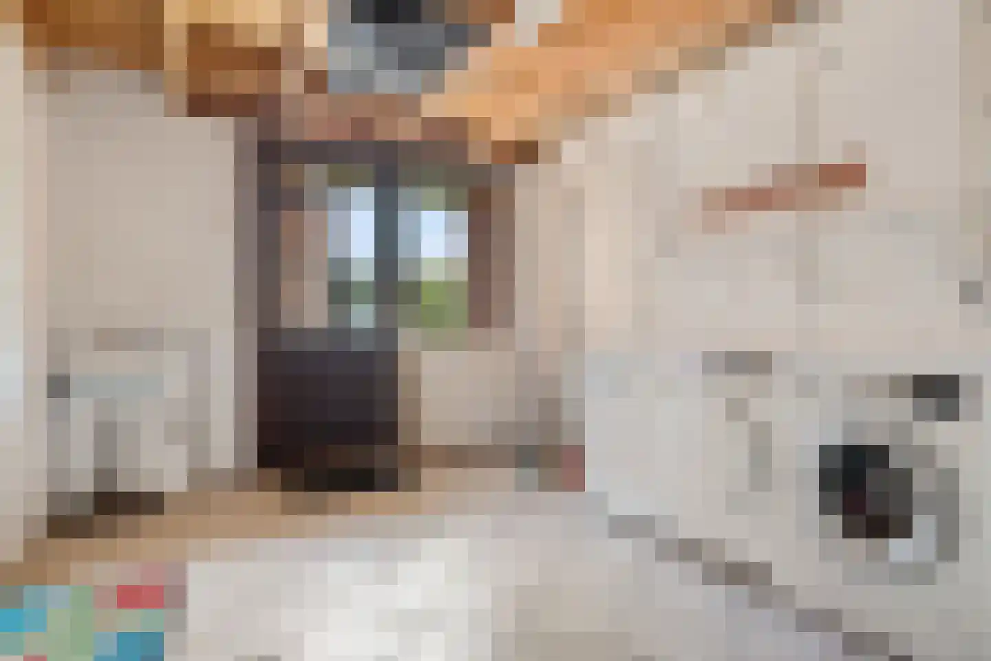 Schipsloot 27 Loppersum thumbnail 27