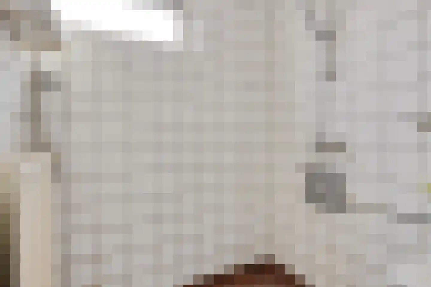 Schipsloot 27 Loppersum thumbnail 30