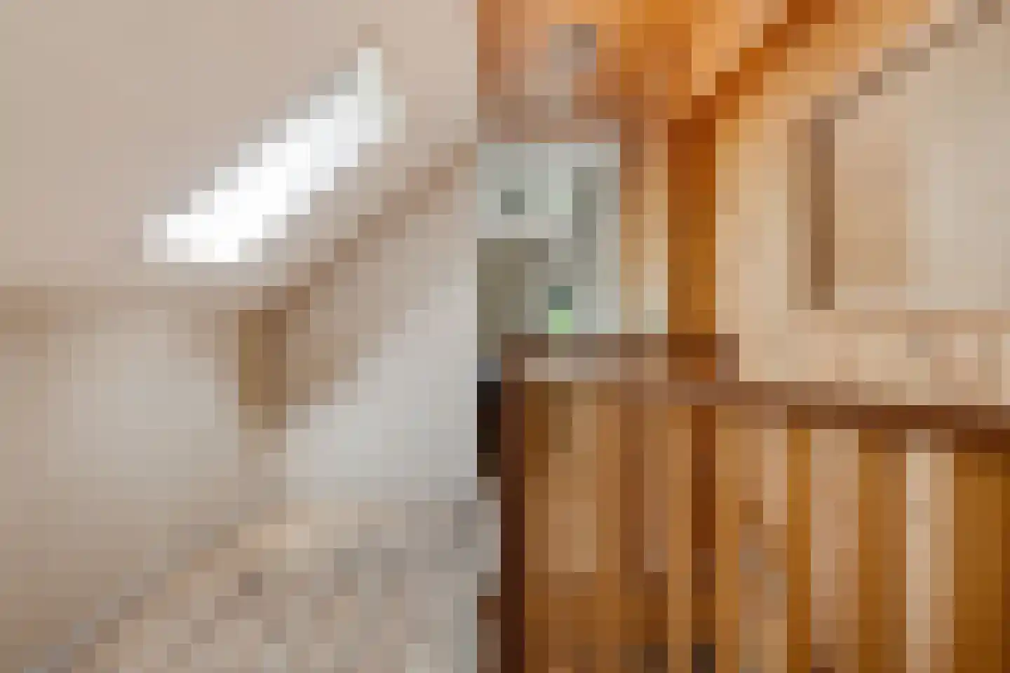 Schipsloot 27 Loppersum thumbnail 33