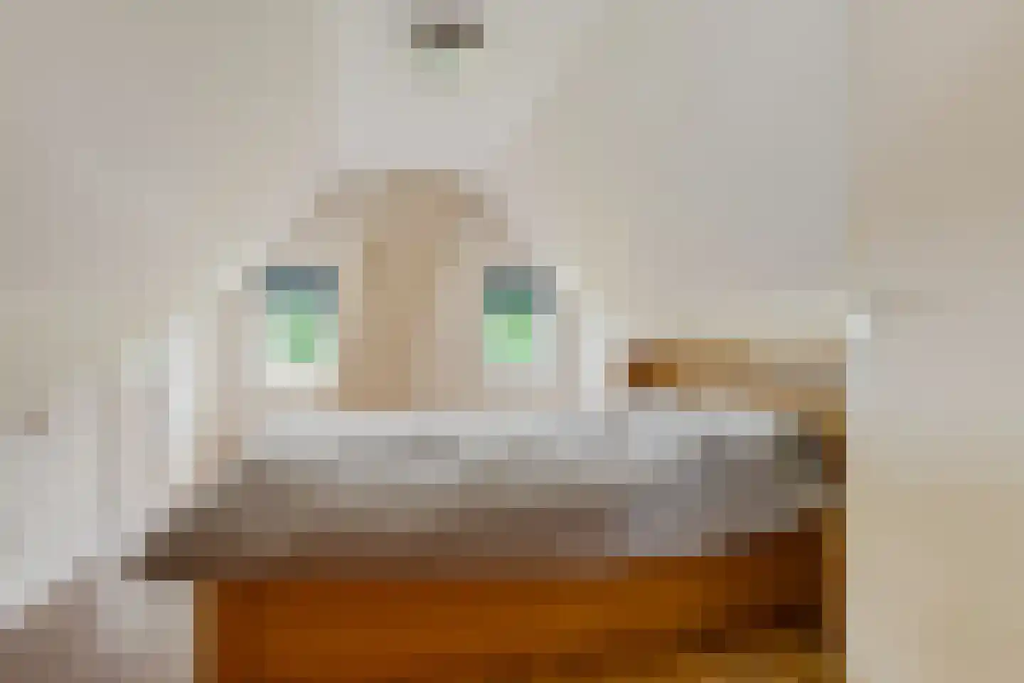 Schipsloot 27 Loppersum thumbnail 34