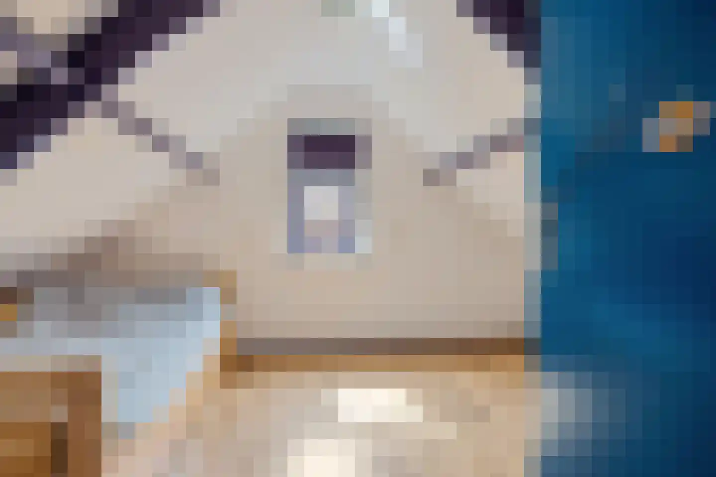 Schipsloot 27 Loppersum thumbnail 41
