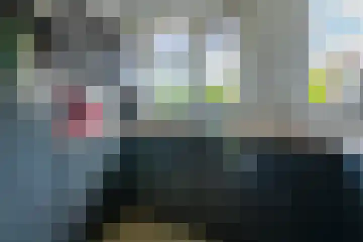 Schipsloot 9 Zeist thumbnail 10