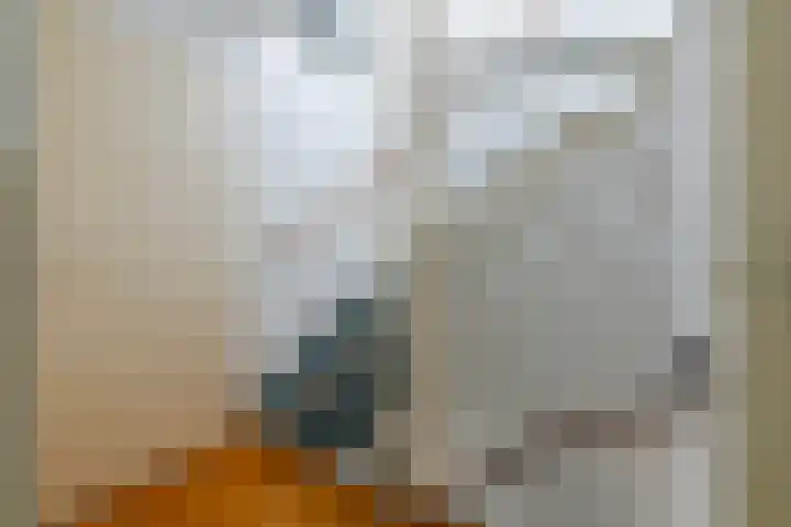 Schipsloot 9 Zeist thumbnail 12