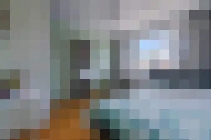 Schipsloot 9 Zeist thumbnail 14