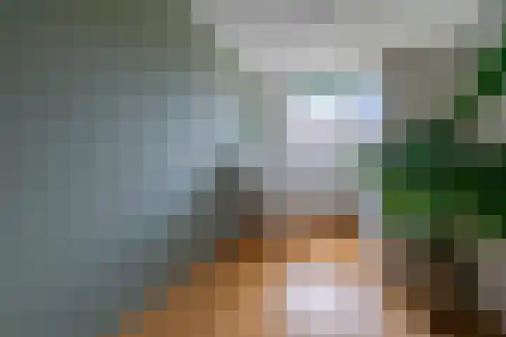 Schipsloot 9 Zeist thumbnail 15