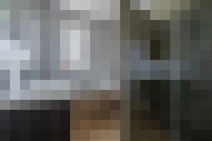 Schipsloot 9 Zeist thumbnail 16