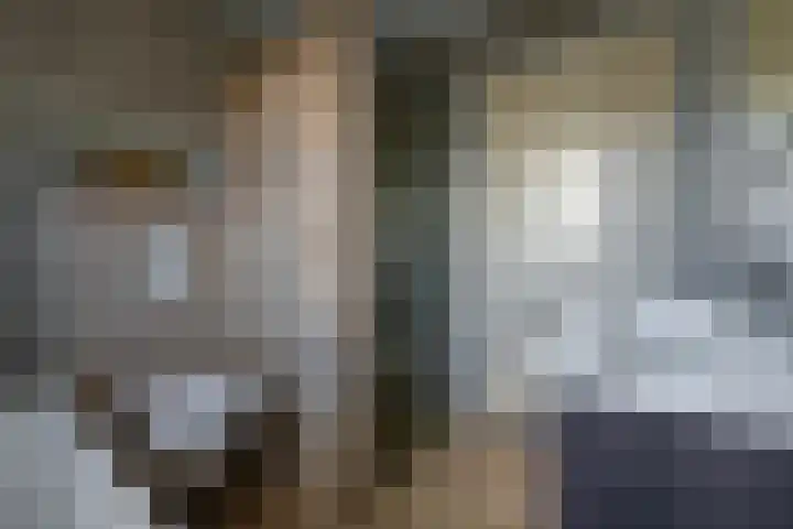 Schipsloot 9 Zeist thumbnail 17