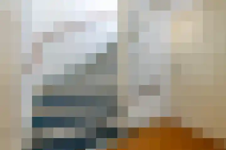 Schipsloot 9 Zeist thumbnail 18