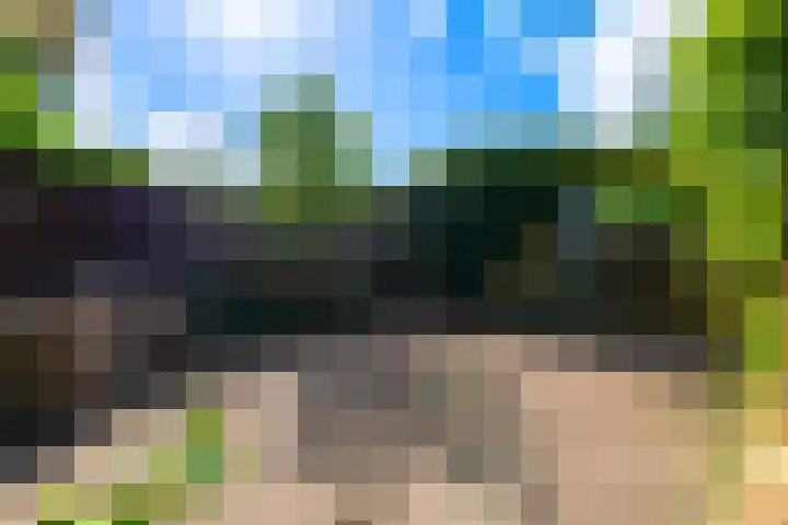 Schipsloot 9 Zeist thumbnail 25