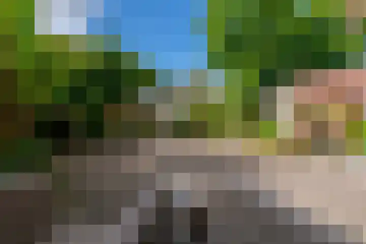 Schipsloot 9 Zeist thumbnail 27