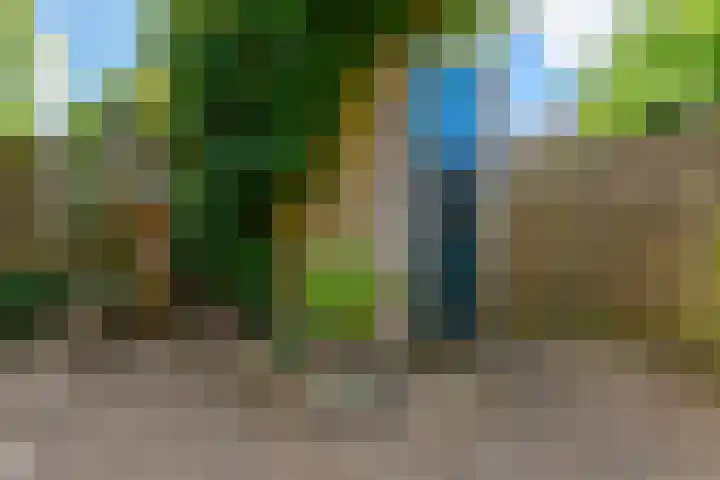 Schipsloot 9 Zeist thumbnail 28