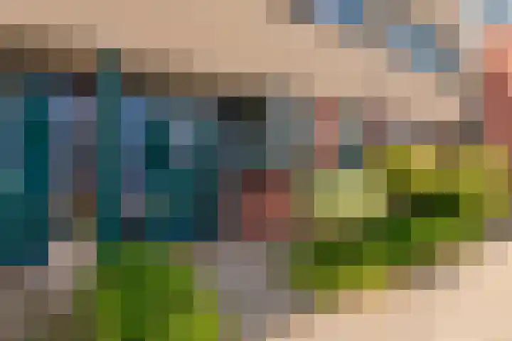 Schipsloot 9 Zeist thumbnail 29