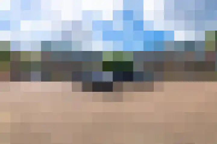 Schipsloot 9 Zeist thumbnail 30