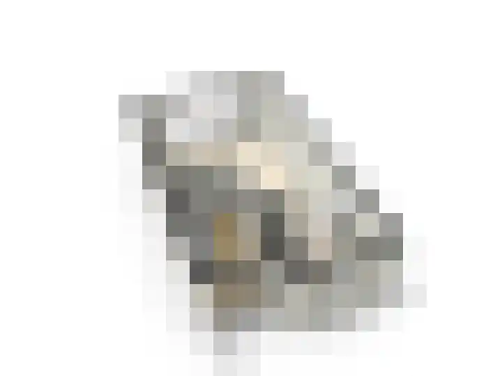 Schipsloot 9 Zeist thumbnail 36