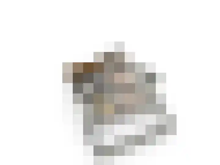 Schipsloot 9 Zeist thumbnail 38
