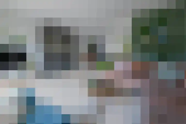 Schipsloot 9 Zeist thumbnail 4
