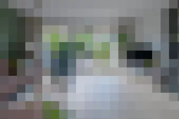 Schipsloot 9 Zeist thumbnail 5