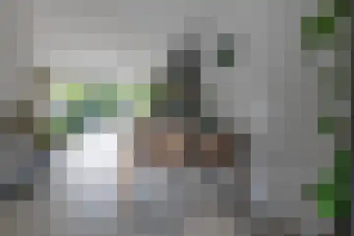 Schipsloot 9 Zeist thumbnail 7