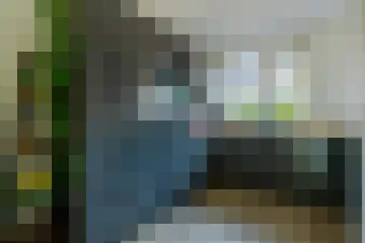 Schipsloot 9 Zeist thumbnail 8