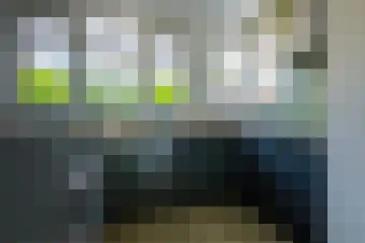 Schipsloot 9 Zeist thumbnail 9