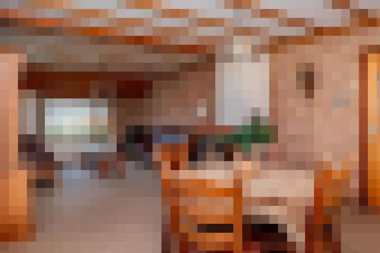Schipsweg 15 Hattem thumbnail 15