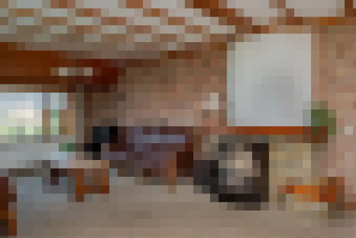 Schipsweg 15 Hattem thumbnail 16