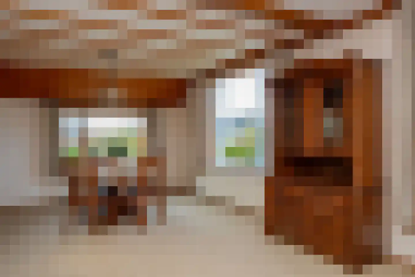 Schipsweg 15 Hattem thumbnail 18