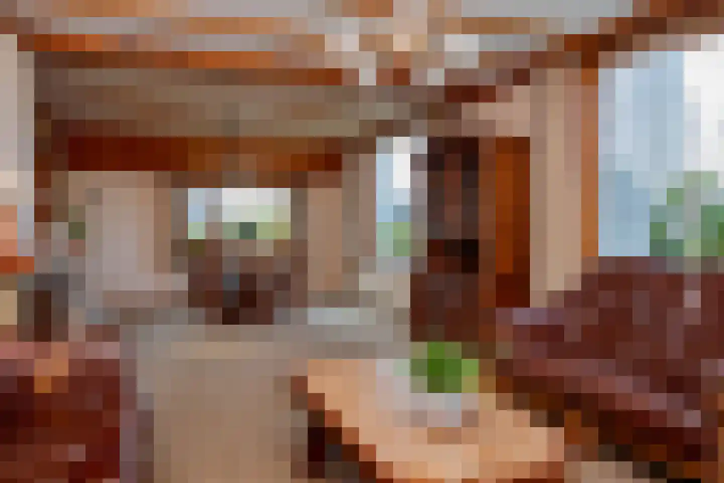 Schipsweg 15 Hattem thumbnail 19