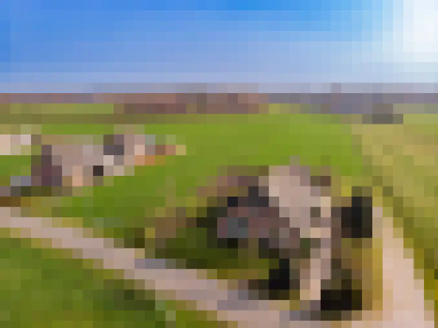 Schipsweg 15 Hattem thumbnail 52