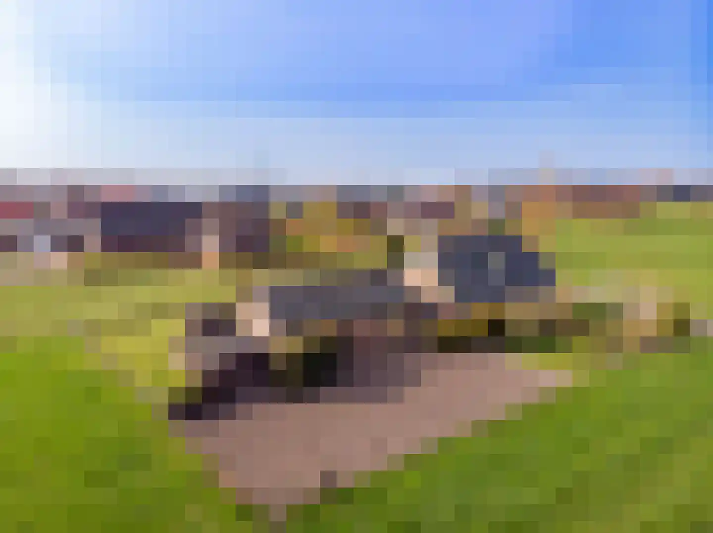 Schipsweg 15 Hattem thumbnail 53