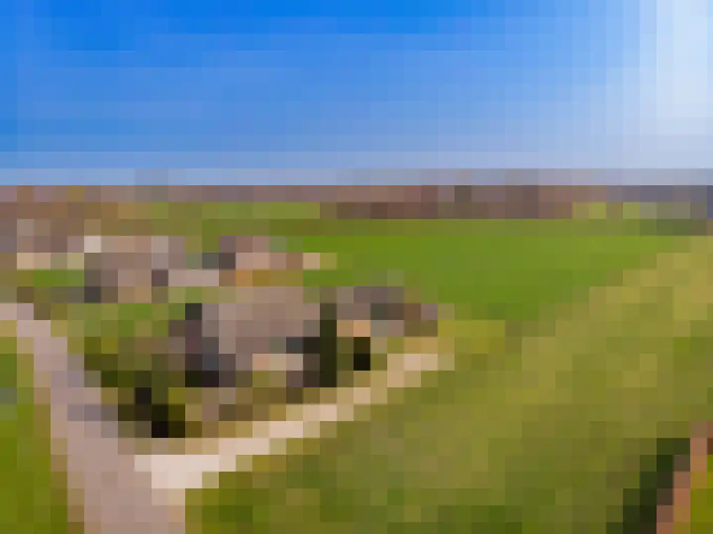 Schipsweg 15 Hattem thumbnail 56