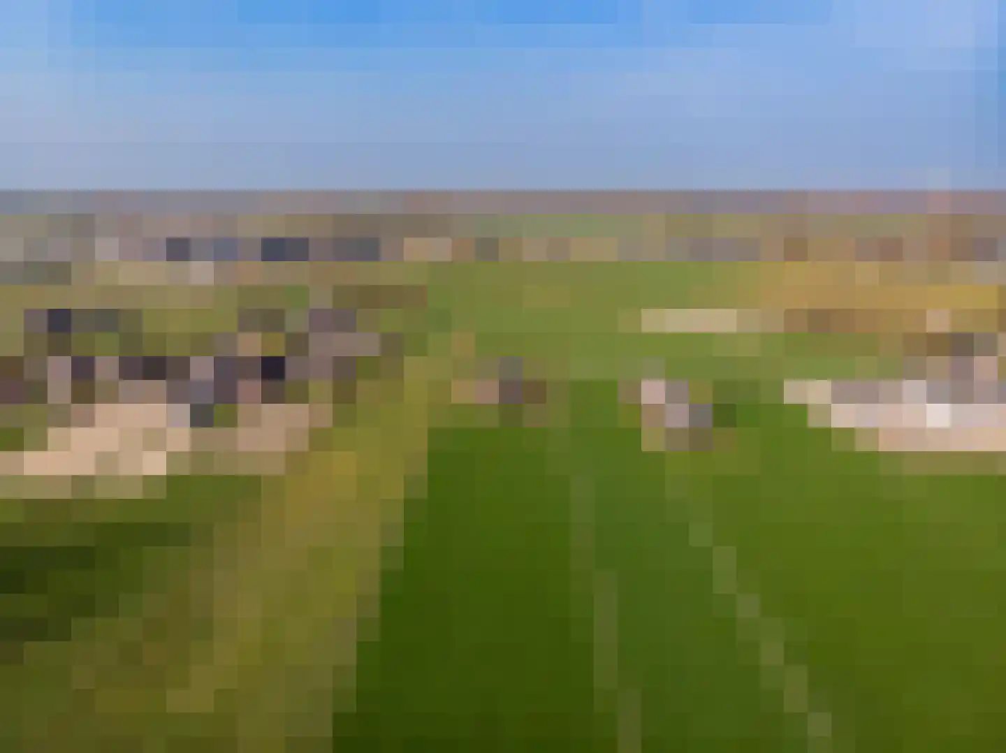 Schipsweg 15 Hattem thumbnail 61