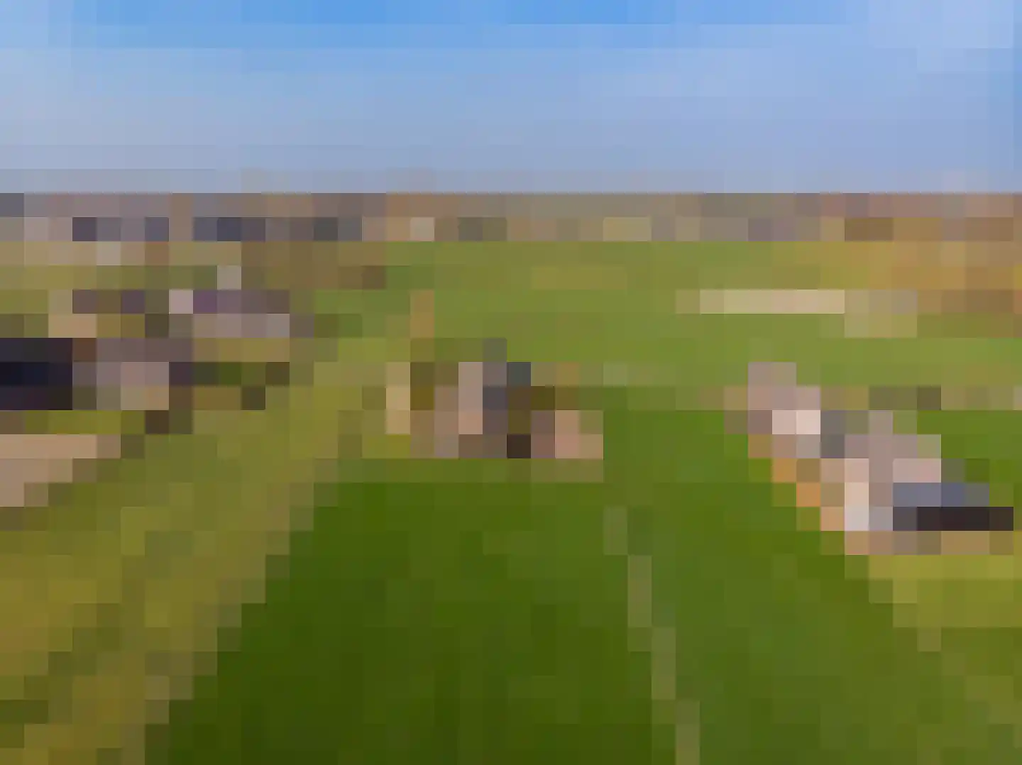 Schipsweg 15 Hattem thumbnail 63