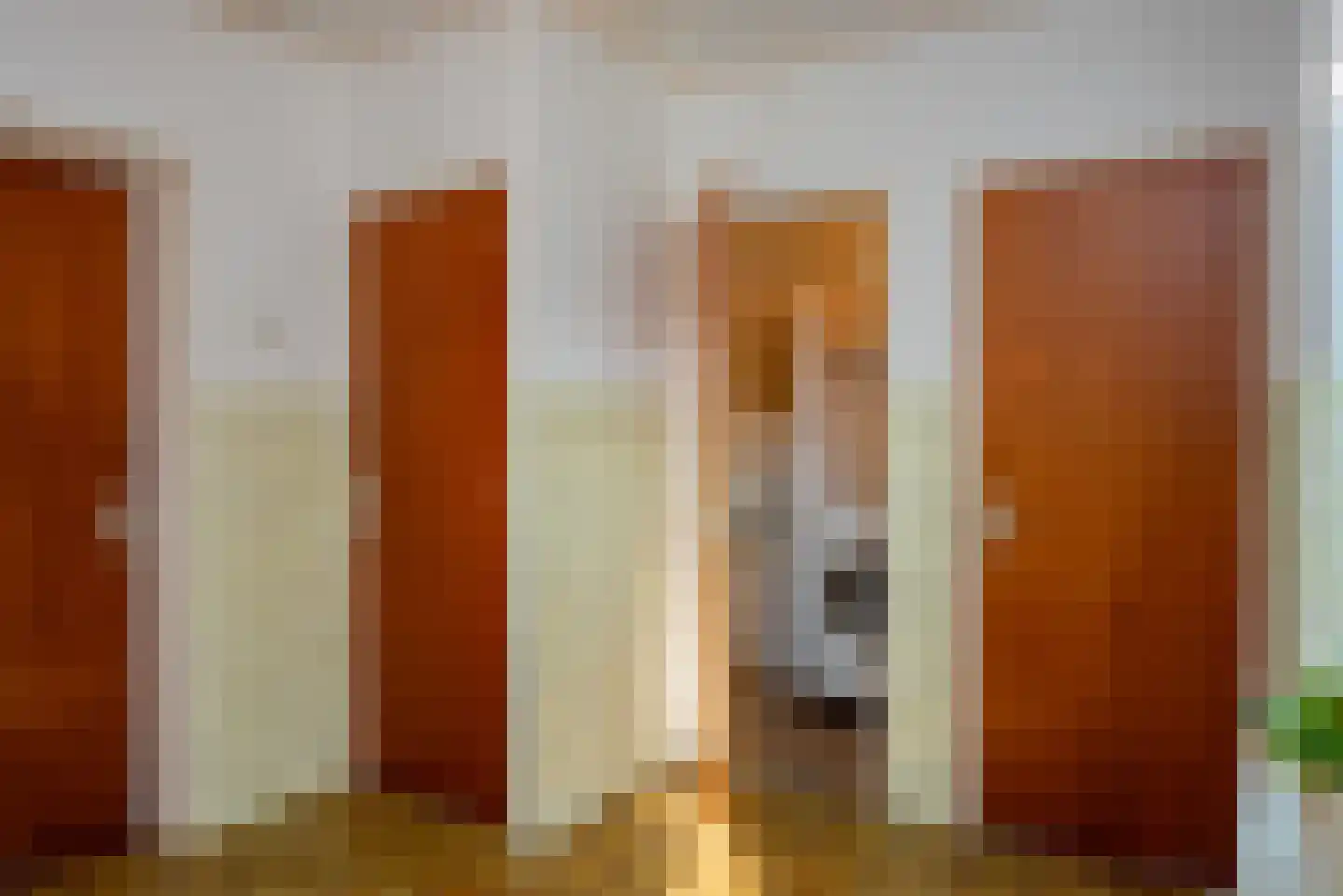 Schipsweg 15 Hattem thumbnail 8