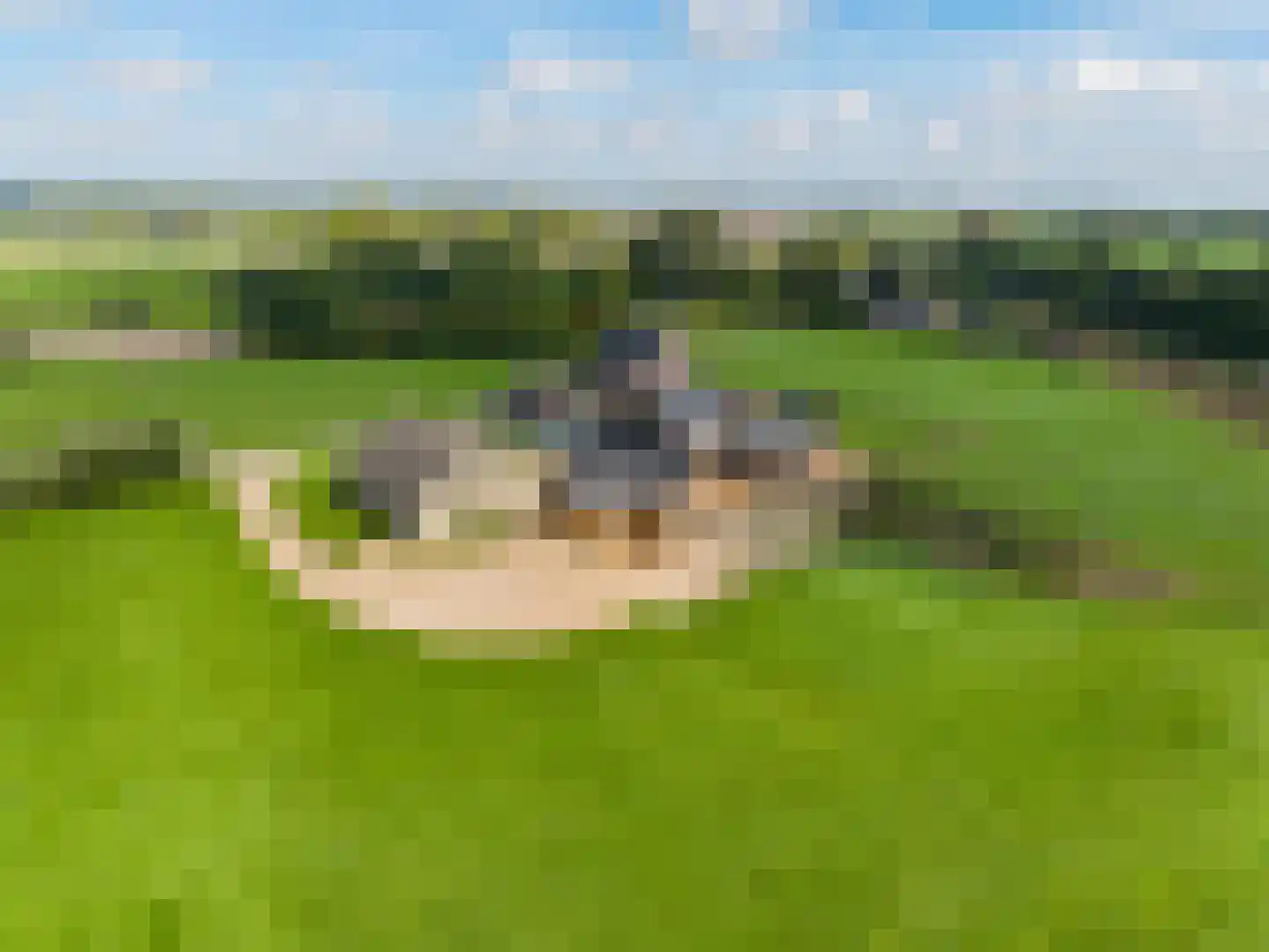 Schipsweg Hattem thumbnail 11