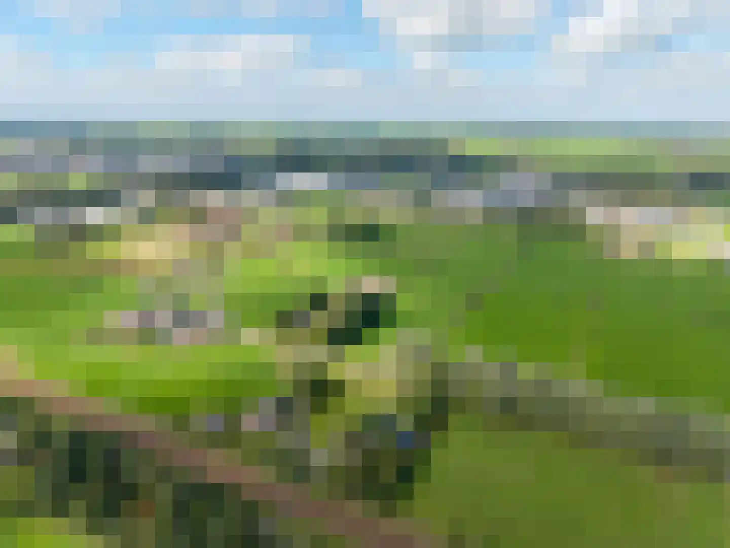 Schipsweg Hattem thumbnail 8
