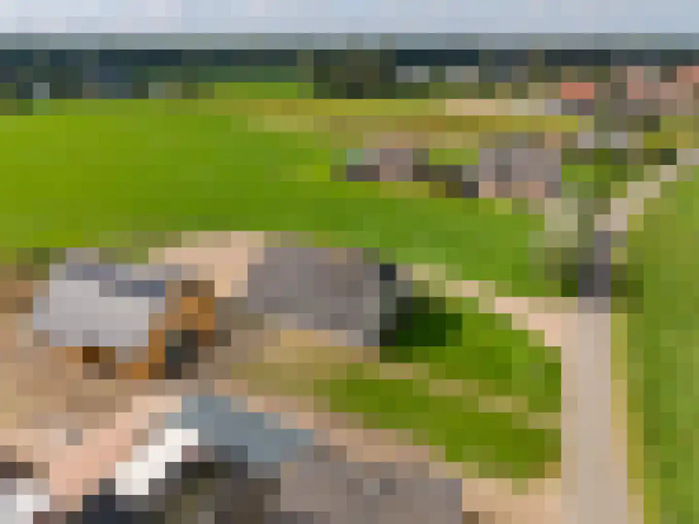 Schipsweg Hattem thumbnail 9