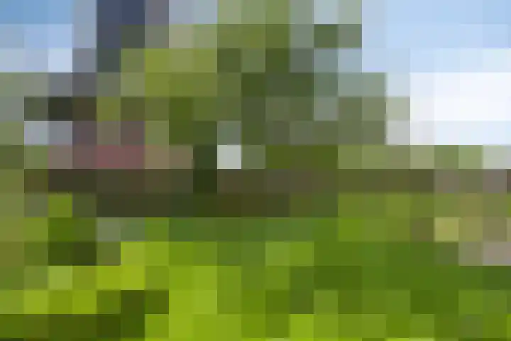 Schipvaart 12 Oldehove thumbnail 37