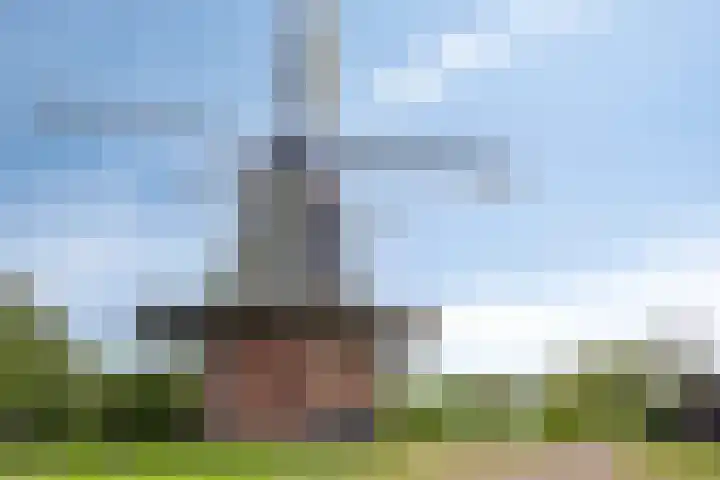 Schipvaart 12 Oldehove thumbnail 47