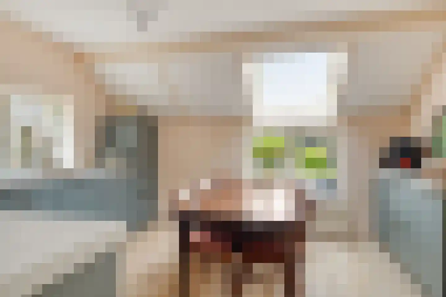 Schipvaart 17 Oldehove thumbnail 17