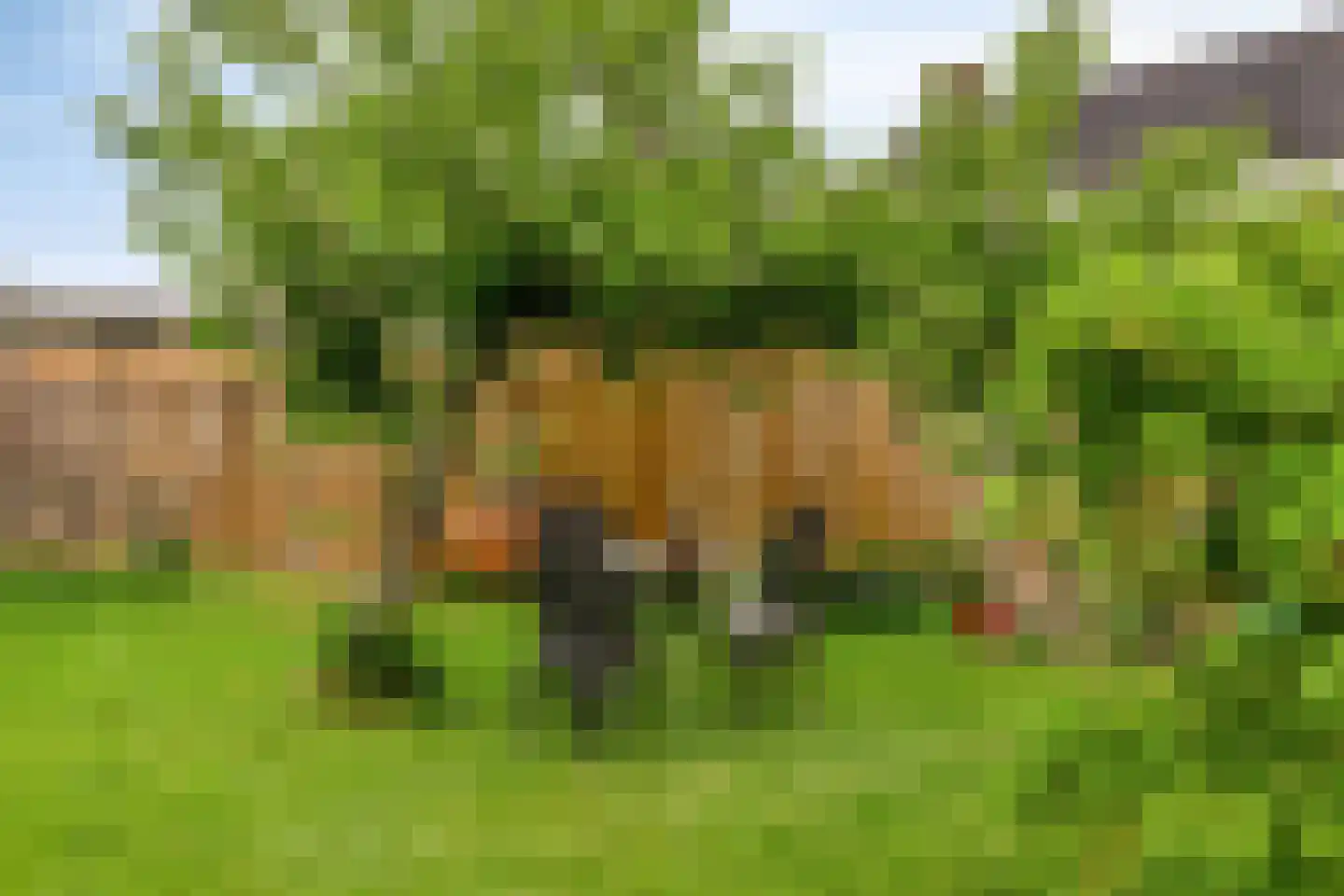 Schipvaart 17 Oldehove thumbnail 27