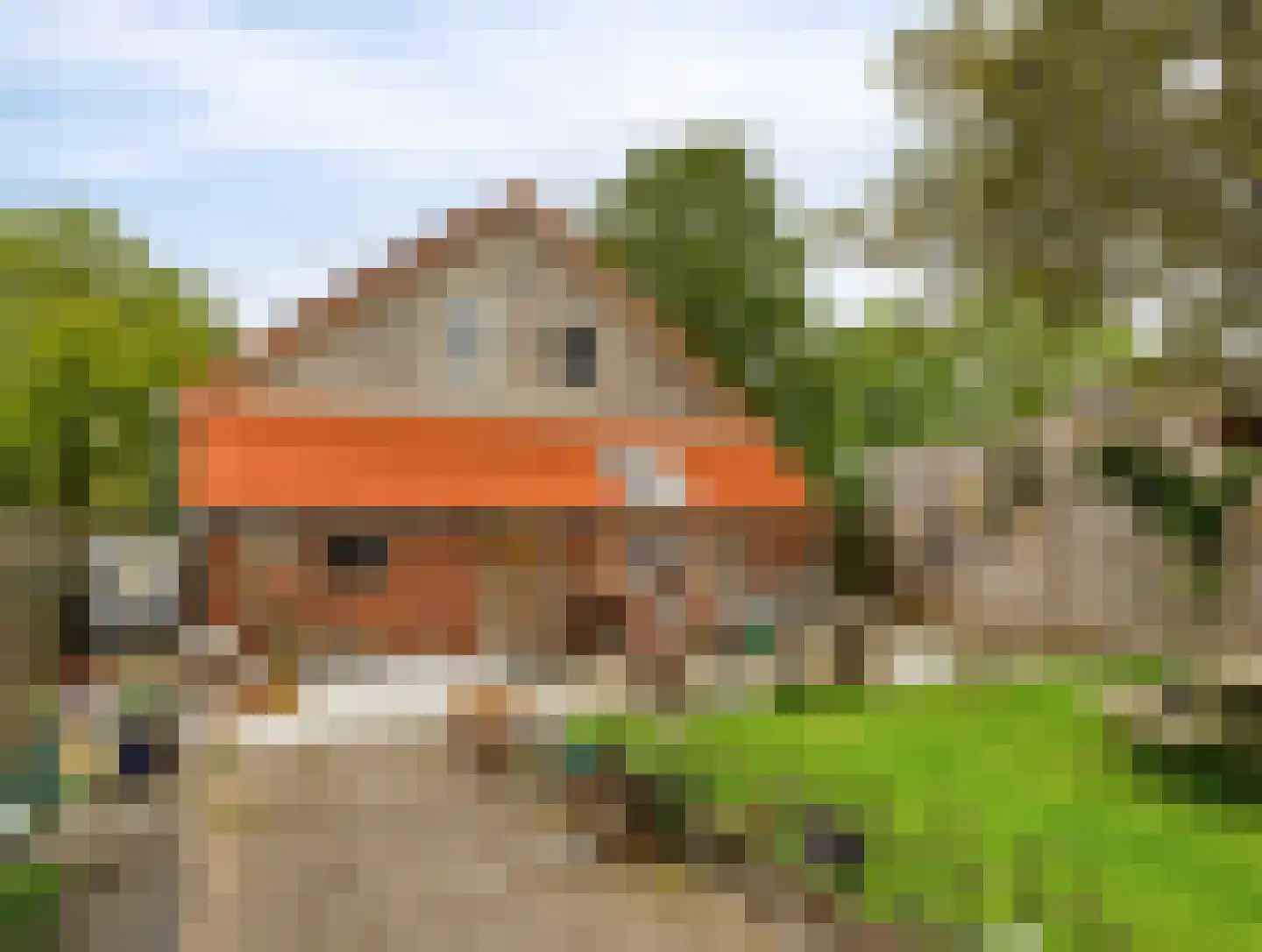 Schipvaart 17 Oldehove thumbnail 31