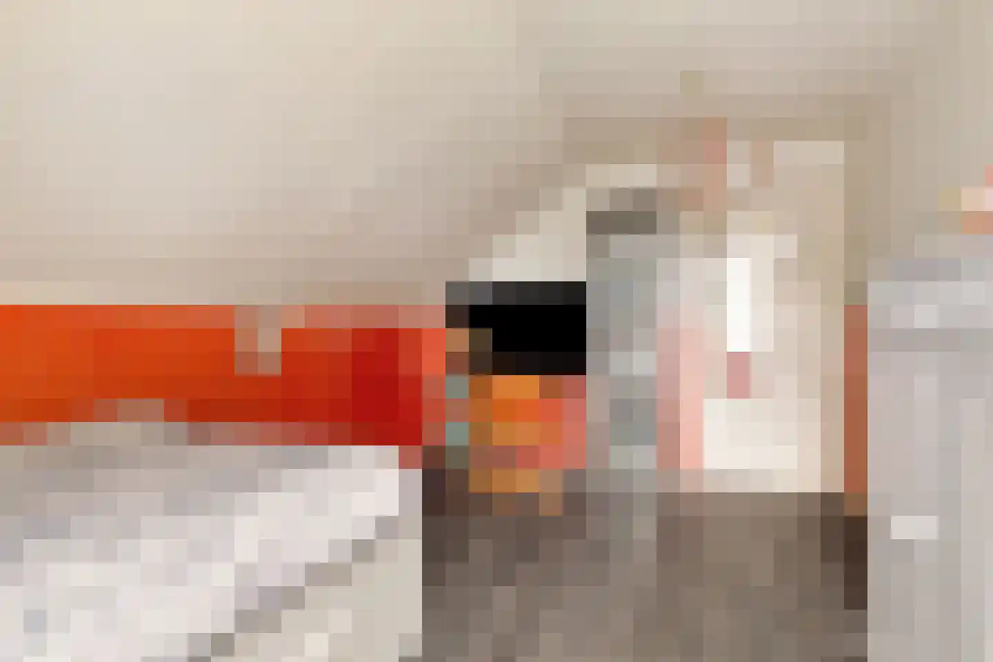 Schipvaart 17 Oldehove thumbnail 39