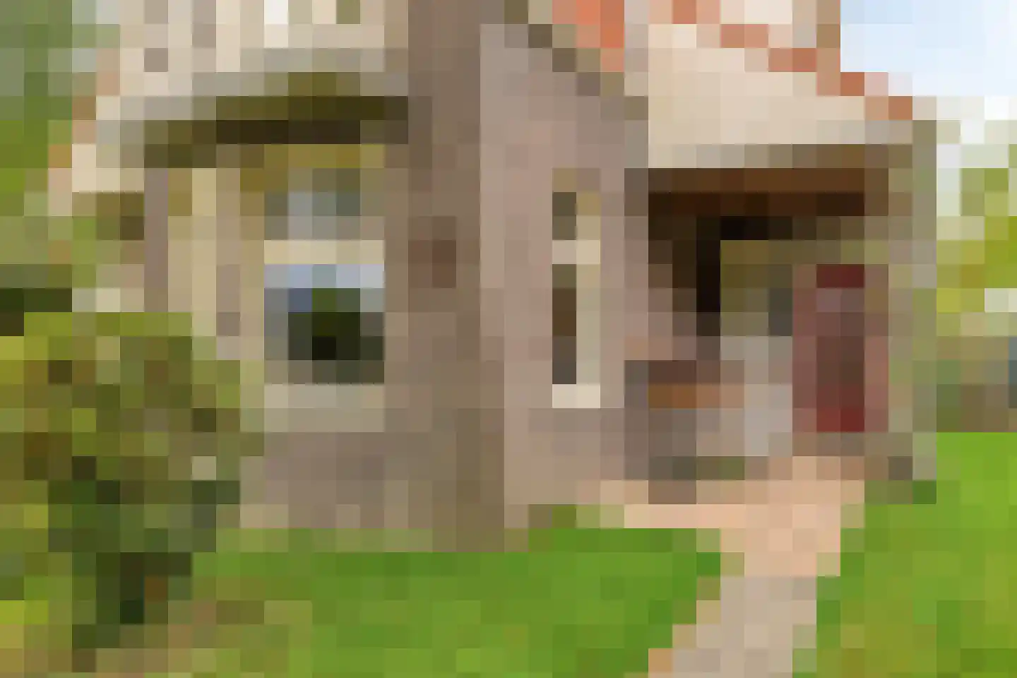 Schipvaart 17 Oldehove thumbnail 8