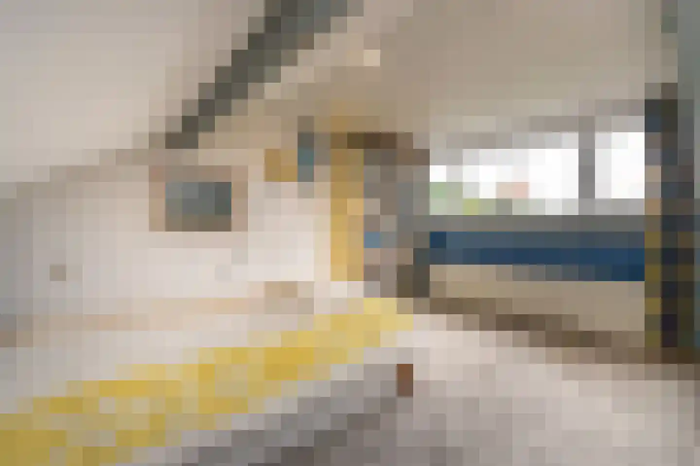 Schlatmaeckerstraat 7 Nijmegen thumbnail 25